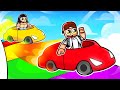 ROBLOX CAR RACE