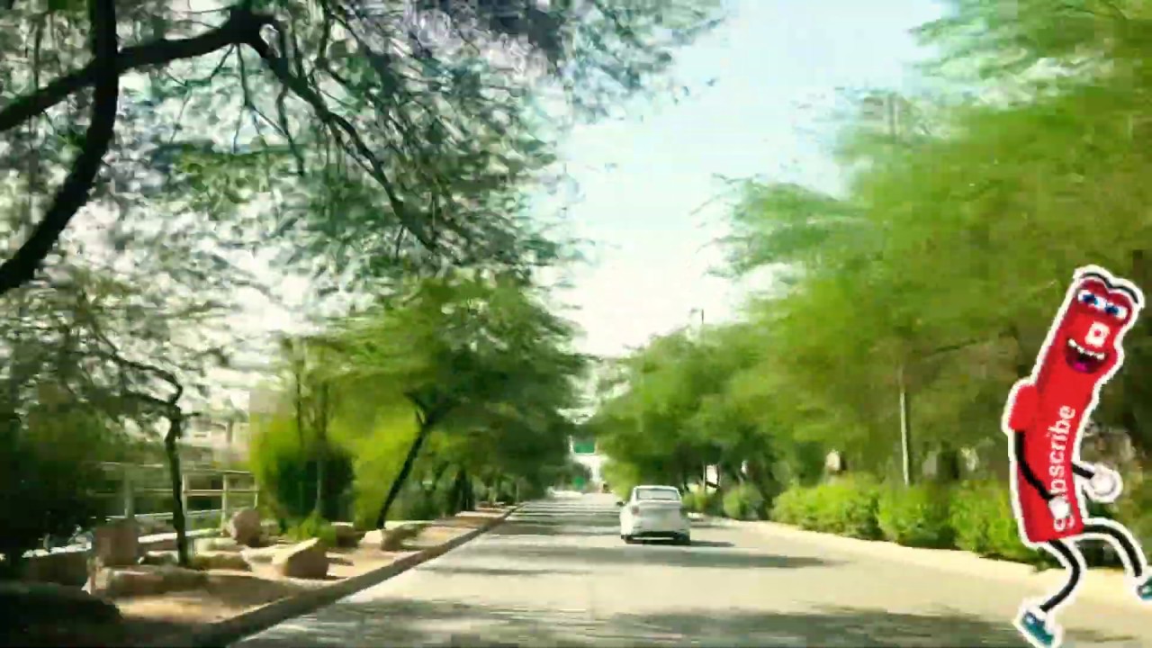 Hidden forest in Riyadh Saudi Arabia - غابة مخبأة في الرياض - YouTube