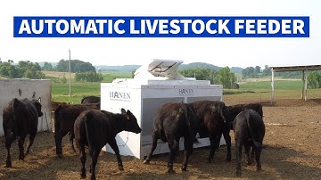 Hanen Automatic Cattle & Livestock Feeders