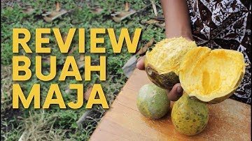 Asal Usul Nama Kerajaan Majapahit