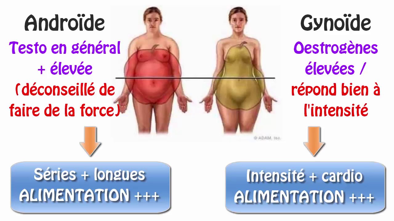 Advanced la musculation est elle un sport