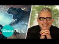 'Life Finds a Way': Jeff Goldblum Keeps Forgetting Phil & Holly's Name | This Morning