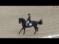 The Dutch Masters 2019  Everdale ( v. Lord Leatherdale x Negro)&  Charlotte Fry U25 Freestyle