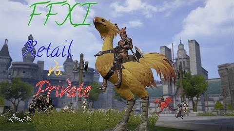 FFXI Retail vs Private servers