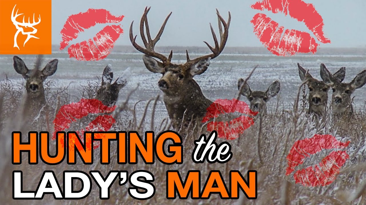 The DIY Hunting Trailer - Bucks, Bulls, Bears