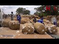 Good news for Cotton farmers #hstvzim