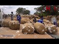Good News For Cotton Farmers Hstvzim Good News For Cotton Farmers Hstvzim