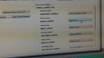 Excel to CSPro big data transfer