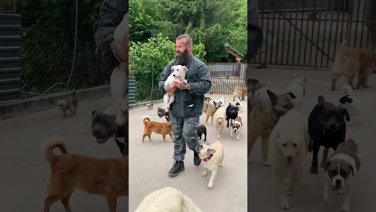 Welcome to the pack 🥺🫶🏽 