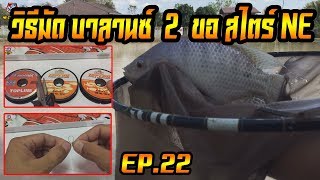 ตกชิงหลิว วิธีการมัด บาลานซ์ 2 ขอ ง่ายๆสไตร์ NE พร้อมอาการทุ่นทั้ง 2 ขอ EP.22