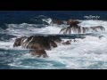 Красивое видео природы, без музыки, естественные звуки в качестве fullhd Beautiful video of nature