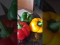 വീട്ടിൽ ഉണ്ടായ vegtables #nature