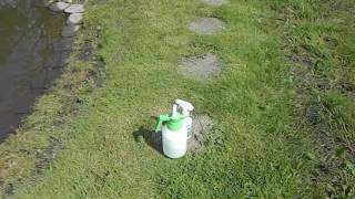 Demonstrating Mosquito Free Water with a Quart Sprayer