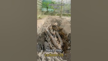 Composting Horse Manure A Simple Guide to Enrich Your Soil Naturally