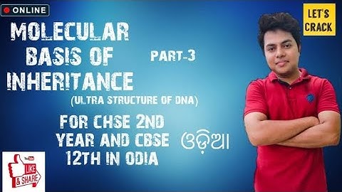 Molecular basis of inheritance part -3 DNA in odia ସମ୍ପୂର୍ଣ ଓଡ଼ିଆ ରେ for CHSE 2nd year and CBSE 12th