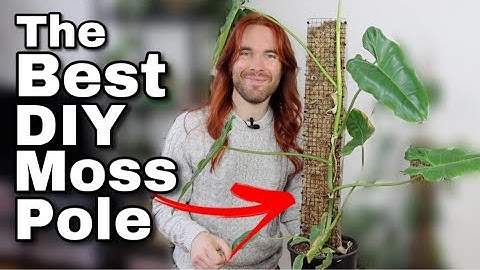 How To Make The Best Moss Pole Ever - Self Watering Moss Pole DIY