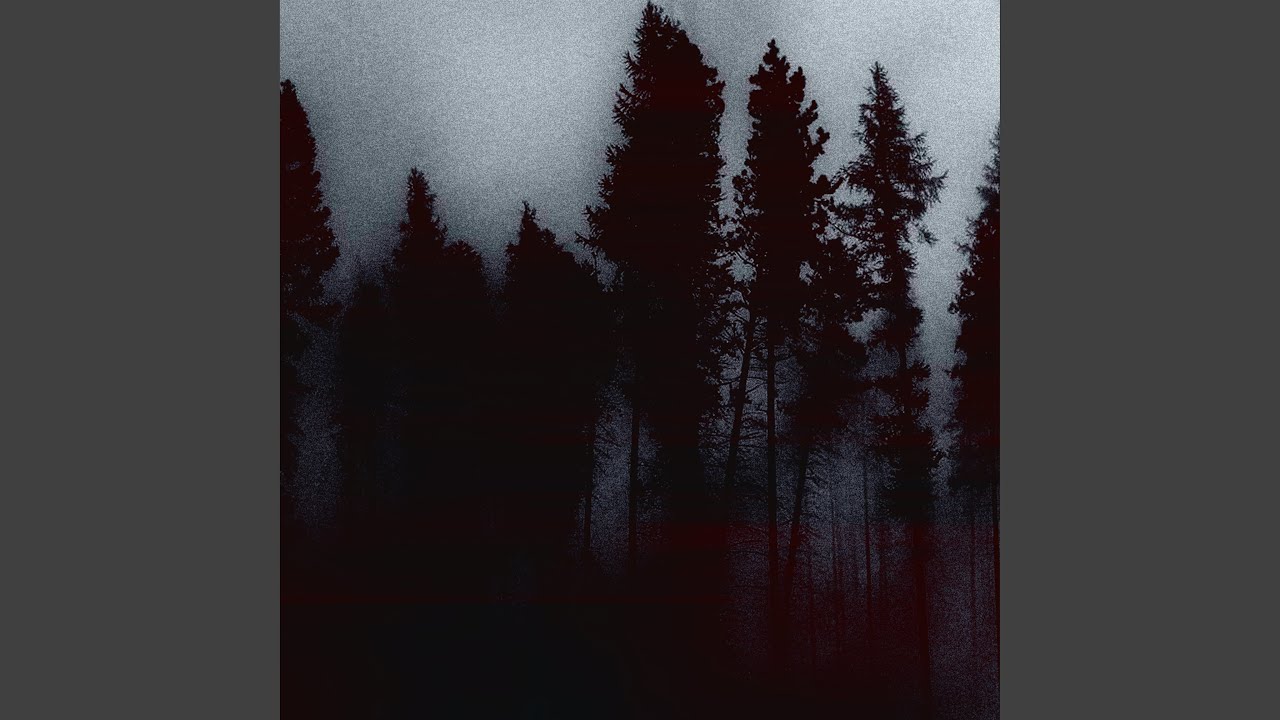 Watch up in the woods on YouTube Watch up in the woods on YouTube