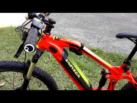 univega bikes 2019