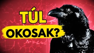 A Varjak Intelligencája Megrémíti a Tudósokat