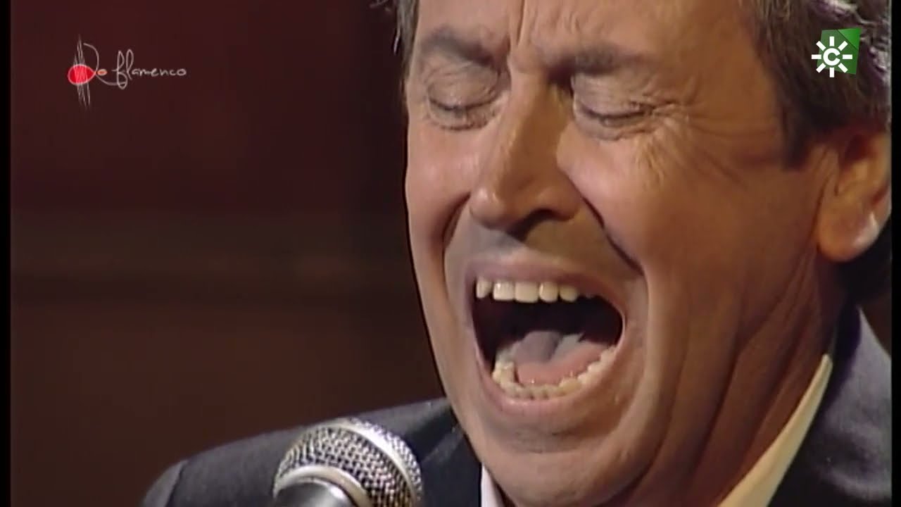 Granaína y media granaína. Diego Clavel. 2000