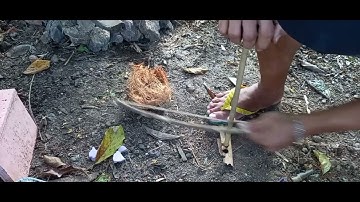 Making A Yucca Cordage Bow Drill Bowstring.