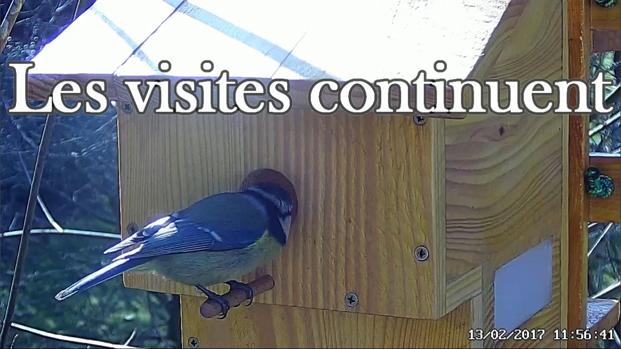 Les visites continuent YouTube