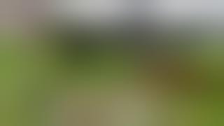 Satu Tembakan, Dua Terbunuh \\Berburu Burung Tikusan..