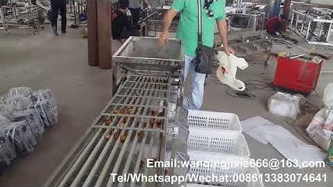 Dates Sorting machine/Dates palm sorting machine