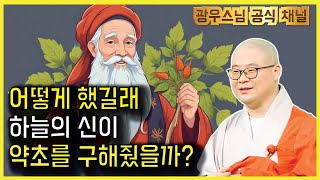 하늘의 신이 구해준 약초를 먹고 병이 낫다 | 광우스님 소나무법문시즌3 137회