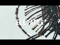 Lucus - Cages