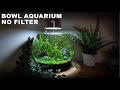 How To Make A No Filter 3 Gallon Fish Bowl Aquarium  (No Filter No Ferts No Co2 No Heater Aquascape)