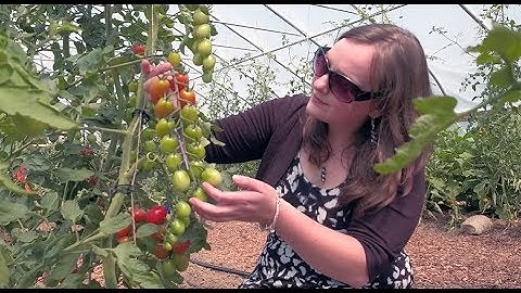 Analog Devices’ Crop Monitoring Technology Empowers Farmers