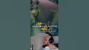 #تلاوات #قران_كريم #تلاوة_خاشعة #سورة الانعام