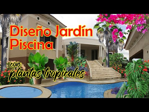 Video: Jardines junto a la piscina - ¿Cuáles son algunas plantas junto a la piscina?