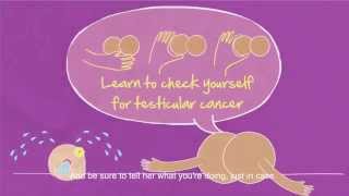 Touching Him Her - Testicular Cancer Self-Check English