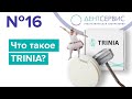 Материал Trinia (Триния). Что это такое?