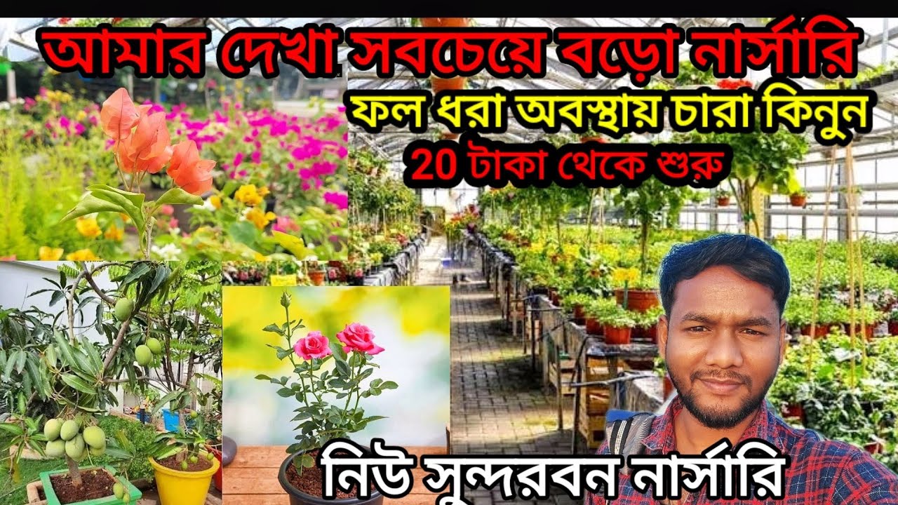 Plant Nursery Visit | Chipest Plant In Nursery | Plant Name With Price | New Sundarban Nursery