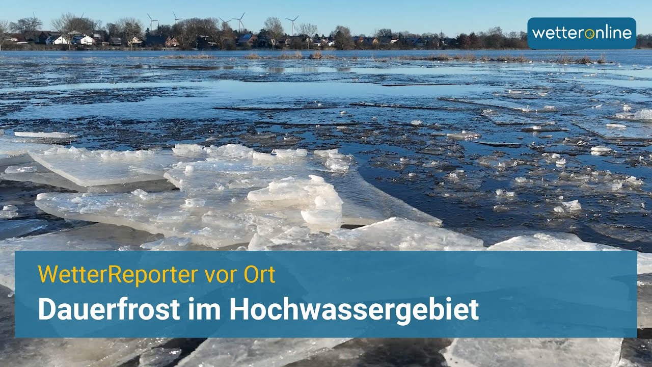 Hochwasser in Deutschland: »Ab halb fünf lief das Dorf voll« | DER SPIEGEL