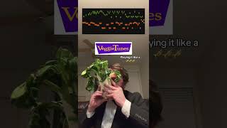 BACH choy #parody #musicchallenge #memes #bach #trumpet #musicmemes #funny #joke #musician #wordplay