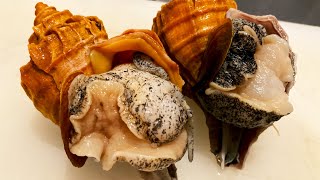 ALIEN SEA SNAIL - Japanese Street Food Whelk Sashimi Seafood