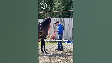 Quick Tips On Working With A Sensitive & Explosive Horse! Part 2| The Horse Guru - Michael Gascon