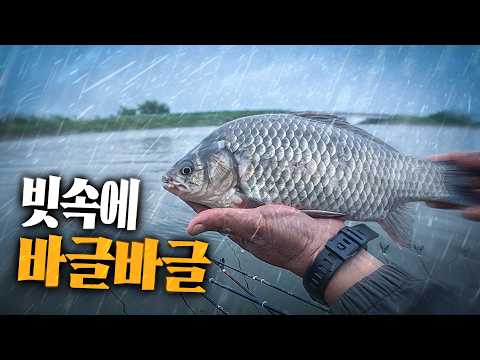 우중낚시 흠뻑쇼! ... 이것은 낭만인가 X고생인가?