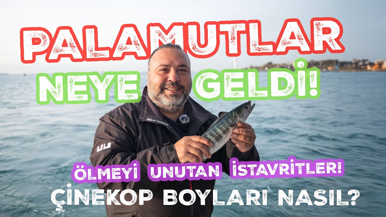 PALAMUTTAN BOŞ DÖNME! / DON’T MISS BONITO!