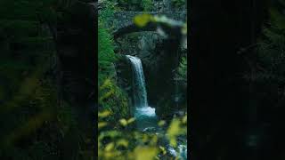 Nature Relaxing Waterfall shorts waterfall