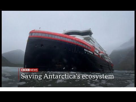 Can Tourism Help Save The Ecosystem In Antarctica - BBC News - 3rd April 2022