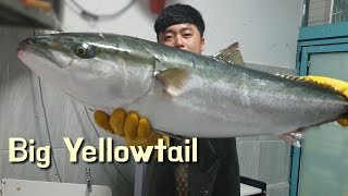 대방어회뜨기_11kg 대방어(ブリ)해체 영상_yellowtail sashimi_나는갑수다