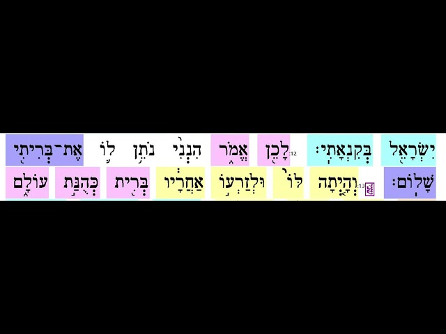 Pinchas 3 of 13   Verse 12