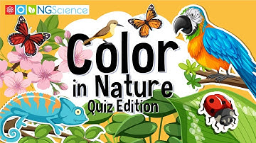 Color in Nature – Quiz Edition