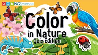 Color in Nature – Quiz Edition