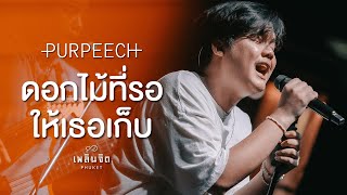 ดอกไม้ที่รอให้เธอเก็บ x PURPEECH「 LIVE @เพลินจิต x Phuket 」